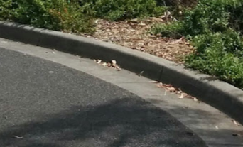 Kerb and channel image